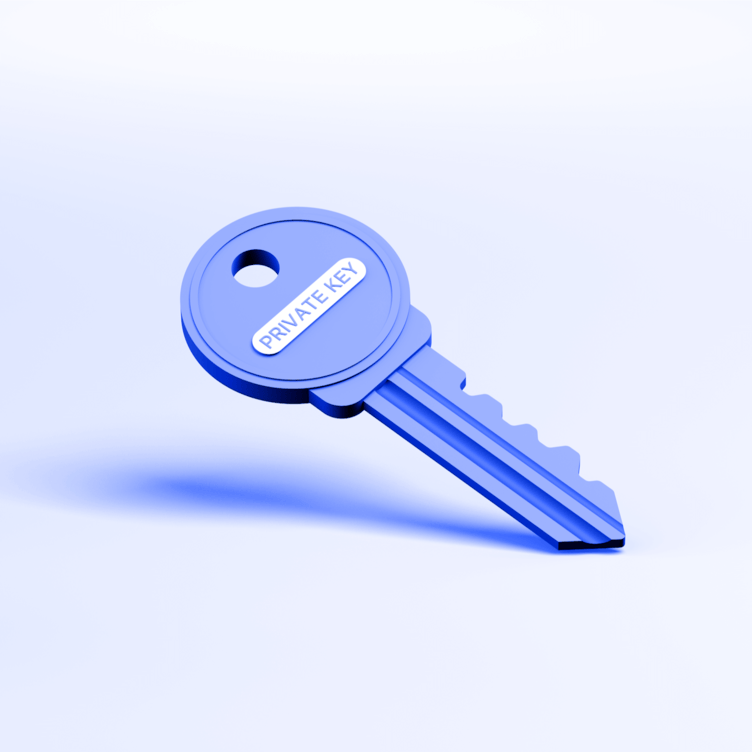 Private Keys: The Keys to Your Crypto