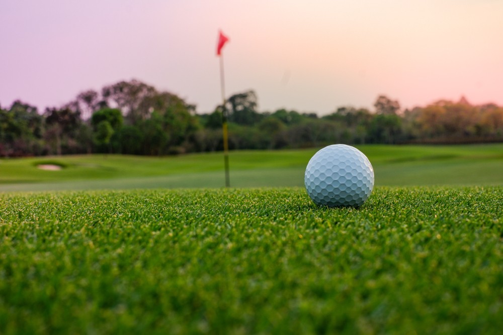 LinksDAO Wins Bid to Buy Scottish Golf Course
