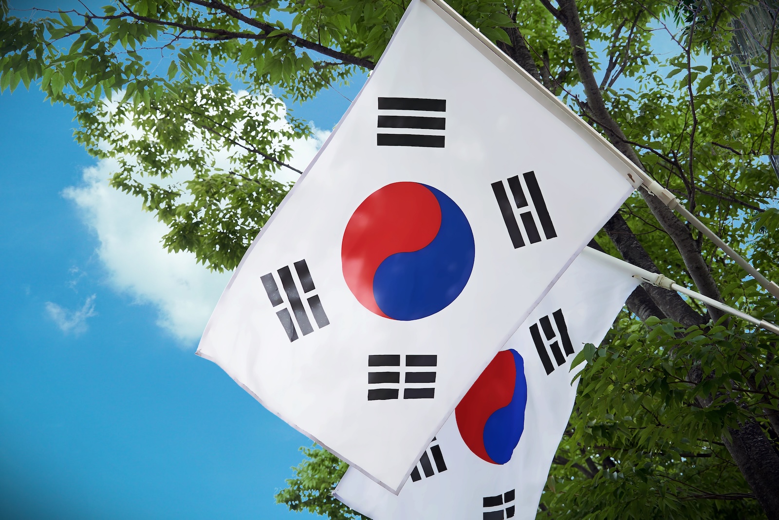 Bank of Korea Advances CBDC Deposit Token Plan