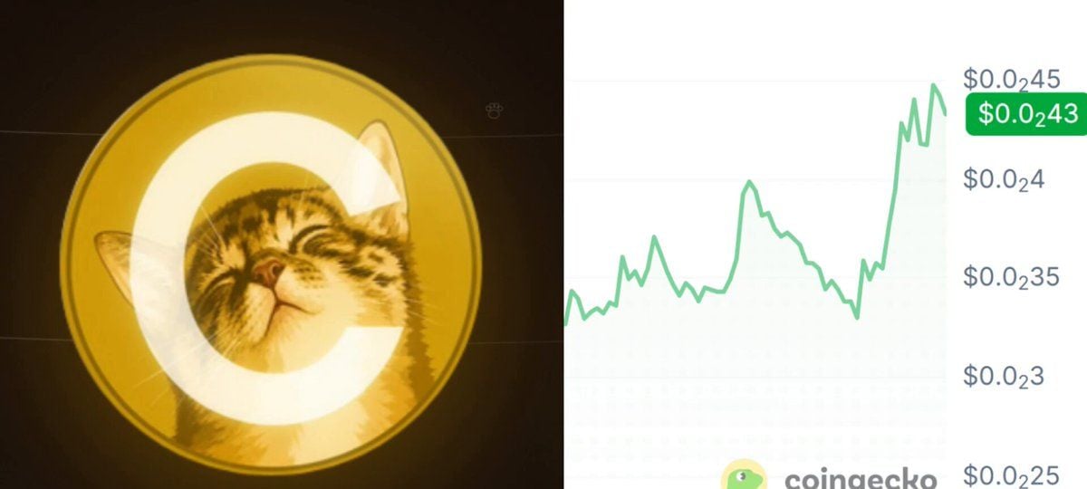 Solana Memecoin CATE Jumps 25% After Viral Rally