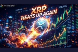 XRP Heats Up Again: Why Is the Expansion of the BTC Ecosystem Driving a Surge in Cloud Mining Users?