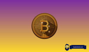The Fear Is Real in the Bitcoin Market Right Now