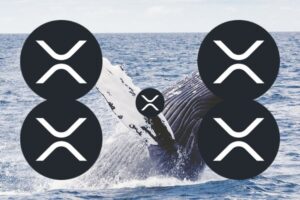 Whales Seem to Have a Different View of XRP Right Now. Here’s What Happened