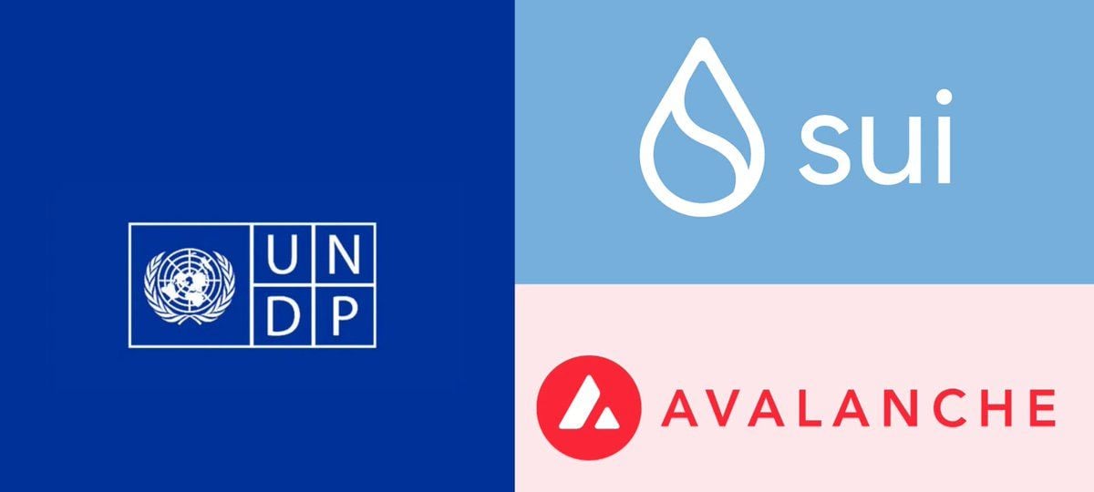 UN Launches Blockchain Advisory Group With Sui, Avalanche, Cardano