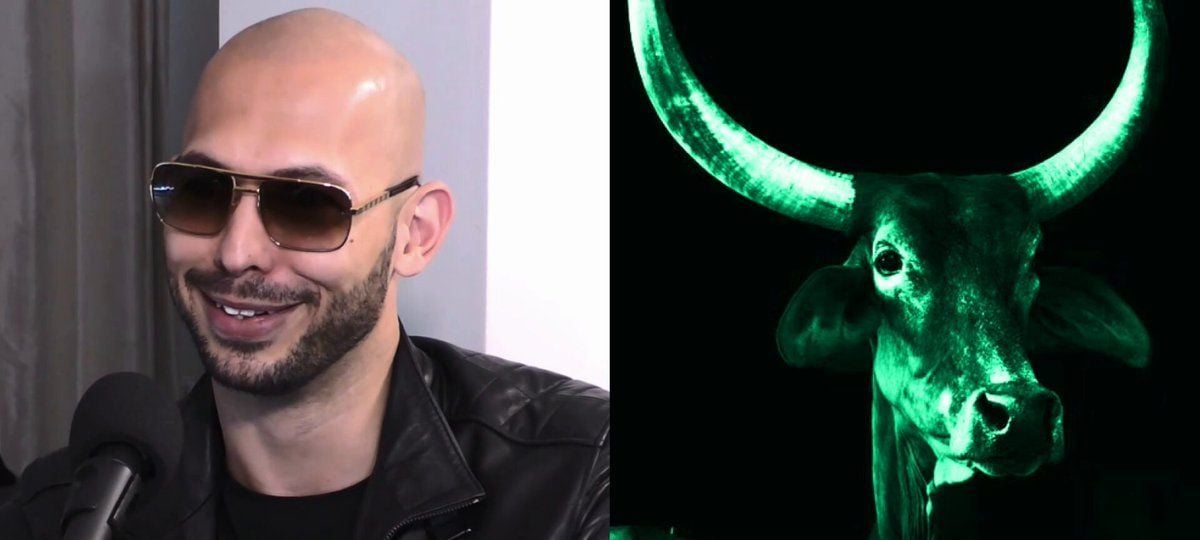 Andrew Tate's DADDY Memecoin Springs Back to Life