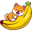 NANODOGE