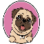 PUG