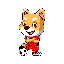 SOCCER