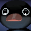 NOOT