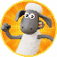 SHAUN