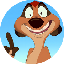 TIMON