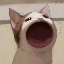 POPO
