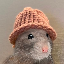 RATWIF
