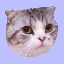 MEREDITH