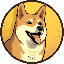 DOGE20