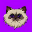MIGGLES