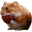 NOMNOM