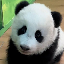 MEIZHU