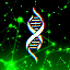 GENE