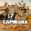 CAPY logo