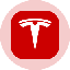 TSLAon logo