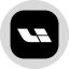 LIon logo