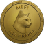 MEFI logo