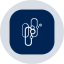 CAPRon logo