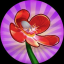 SOLIB logo