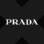 wPRADx logo