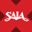 wSAIAx