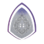MSN
