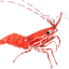 SHRIMP