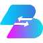 BSDS logo